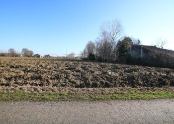 IMG_5891.JPG - Rustico Montegalda - foto 7