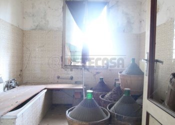 IMG_5865.JPG - Rustico Montegalda - foto 12