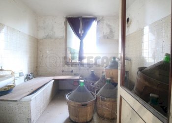 IMG_5866.JPG - Rustico Montegalda - foto 13