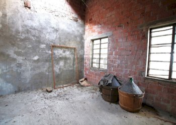 IMG_5873.JPG - Rustico Montegalda - foto 18