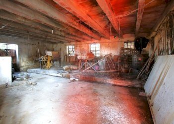 IMG_5882.JPG - Rustico Montegalda - foto 26