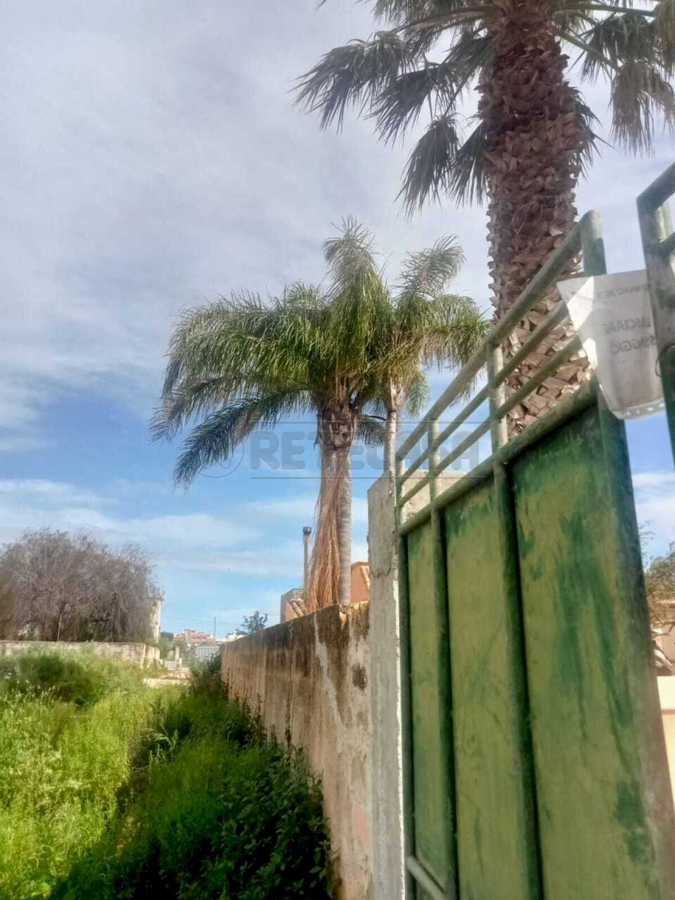 PHOTO-2026-04-15-16-18-06-1.jpg - Villa Mazara del Vallo - foto 3