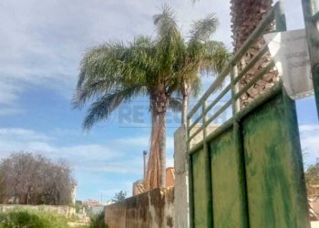 PHOTO-2026-04-15-16-18-06-1.jpg - Villa Mazara del Vallo - foto 3