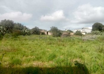 PHOTO-2026-04-15-16-18-06-3.jpg - Villa Mazara del Vallo - foto 5