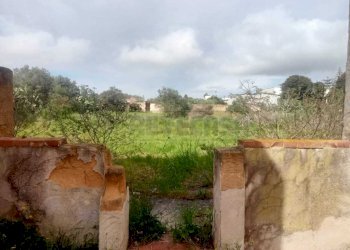 PHOTO-2026-04-15-16-18-07.jpg - Villa Mazara del Vallo - foto 6