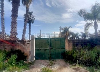 PHOTO-2026-04-15-16-18-07-3.jpg - Villa Mazara del Vallo - foto 9