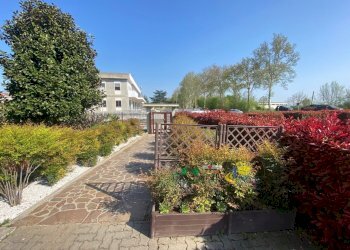 42.jpg - Villa Via Ottavio Ricci 20, Fontanellato - foto 4