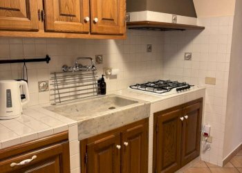 dbc8f04a-8c15-4065-b375-4c9b03ea1786.JPG - Terratetto - Terracielo Camaiore - foto 7