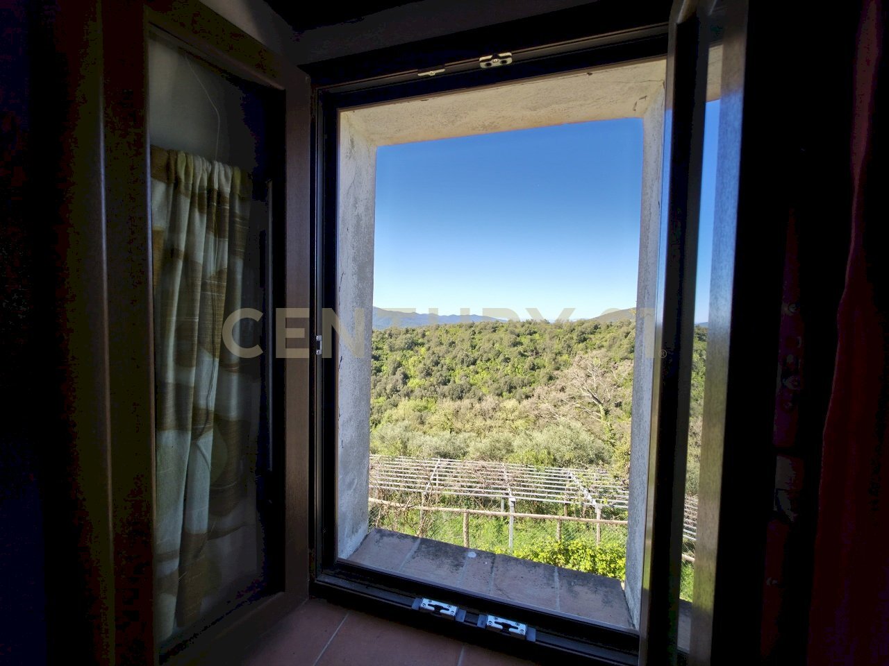 20260408_103709.jpg - Casale località cesi, Gavorrano - foto 2