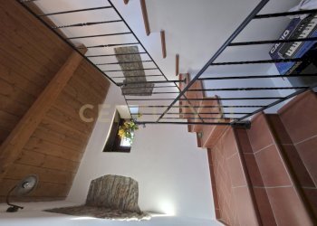 20260408_103740.jpg - Casale località cesi, Gavorrano - foto 3