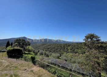 20260408_111105.jpg - Casale località cesi, Gavorrano - foto 5