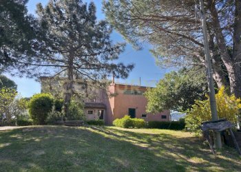 20260408_102217(1).jpg - Casale località cesi, Gavorrano - foto 6