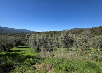 20260408_112510.jpg - Casale località cesi, Gavorrano - foto 12