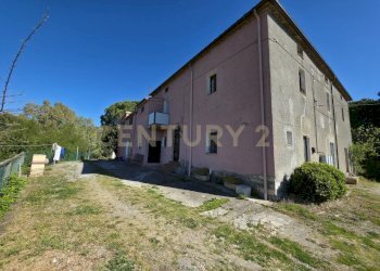 20260408_102455.jpg - Casale località cesi, Gavorrano - foto 14