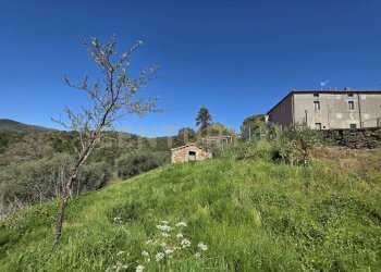 20260408_112523.jpg - Casale località cesi, Gavorrano - foto 23