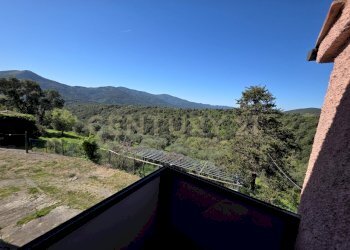 20260408_111058.jpg - Casale località cesi, Gavorrano - foto 28