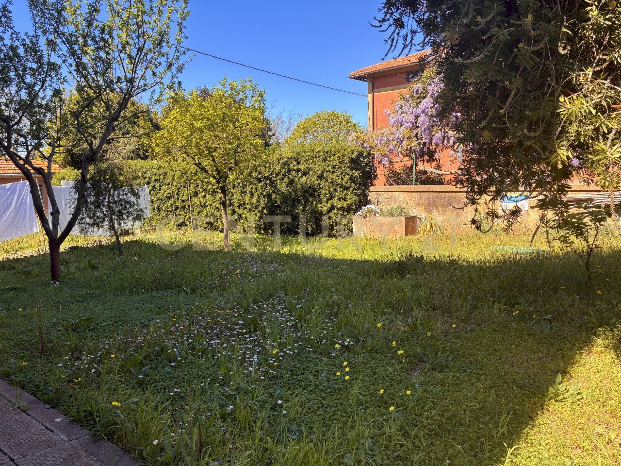 giardino2.jpg - Casa indipendente Strada Statale 1 42, Orbetello - foto 3