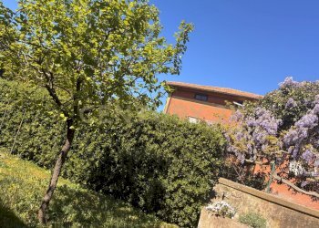 giardino4.jpg - Casa indipendente Strada Statale 1 42, Orbetello - foto 14