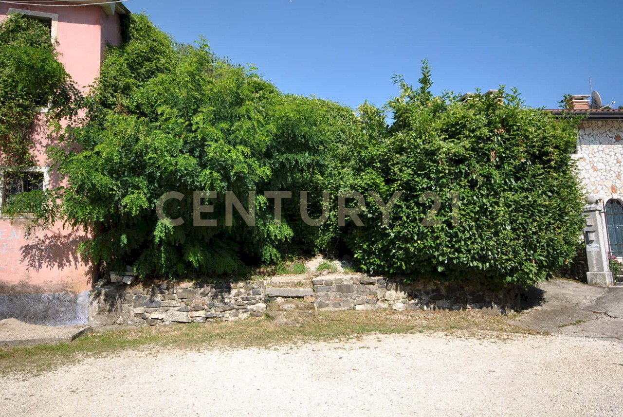 DSC_0005.JPG - Rustico via Val di Qua, Altissimo - foto 3