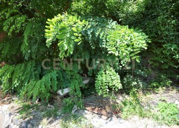 DSC_0043.JPG - Rustico via Val di Qua, Altissimo - foto 9