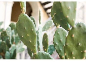 Villa Fontane Bianche Beach, Siracusa - photo 20