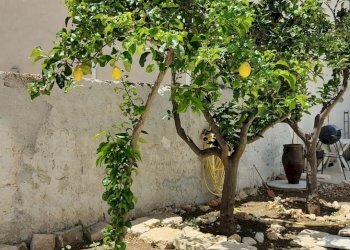 Villa Via Assieni, Custonaci - foto 24