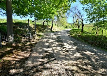 Villa Civitella di Romagna - foto 14