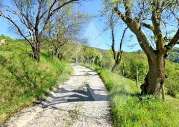Villa Civitella di Romagna - foto 17