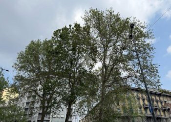 Trilocale Milano, Milano (zona Città Studi) - foto 7