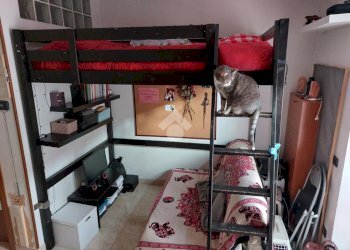 One-room apartment Via Clusone, Milano - photo 10