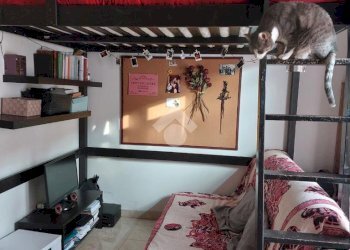 One-room apartment Via Clusone, Milano - photo 12