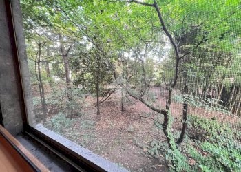 Appartamento Via Privata Giancarlo Puecher, Milano (zona Turro) - foto 9