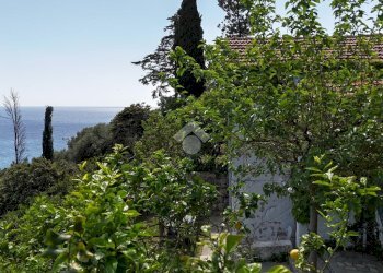 Rustic Str. Poggio II, Imperia - photo 44