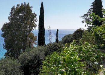 Rustic Str. Poggio II, Imperia - photo 45