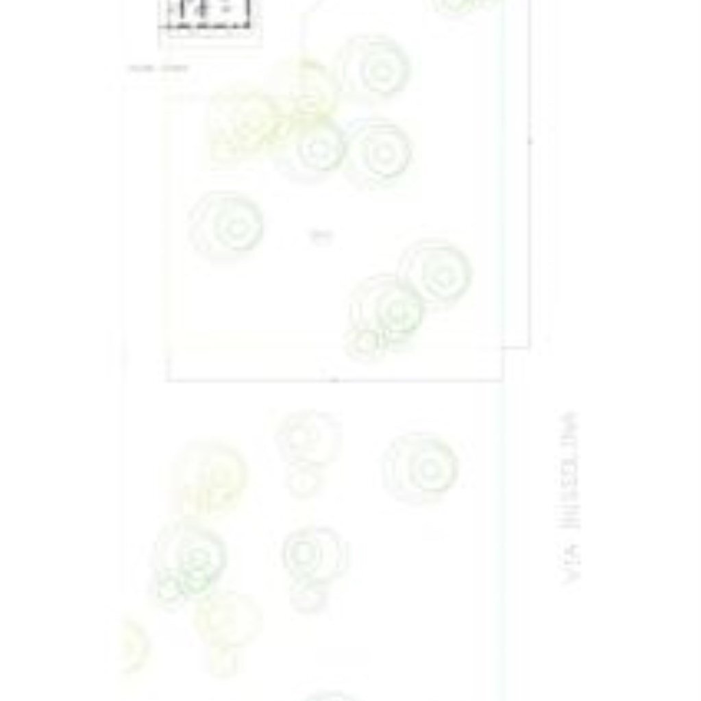 Cascina Via Bussolina, 1, Castelletto Monferrato - planimetria 1