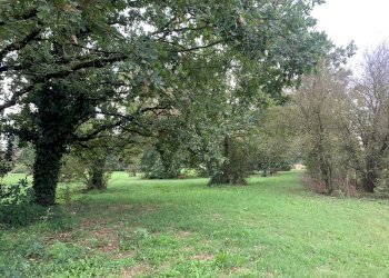 Cascina Via Bussolina, 1, Castelletto Monferrato - foto 28