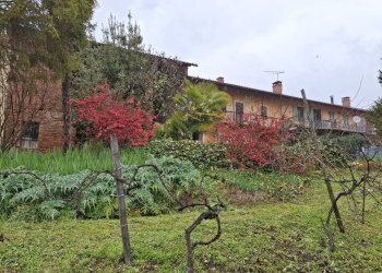 Farmhouse Via Tetti Trinità, 78, Montaldo Torinese - photo 44