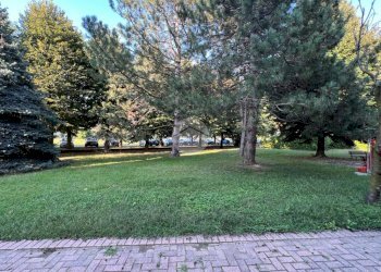 Bilocale Via Collegno, Alpignano - foto 9