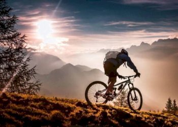 Commercial Activity Bologna - photo 1