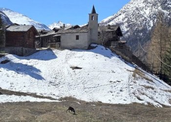 Casa indipendente Frazione Nex, Valsavarenche - foto 13