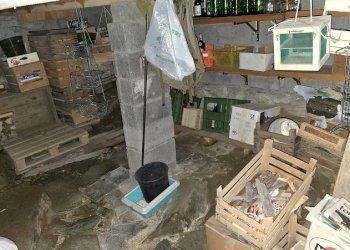 Casa indipendente Frazione Nex, Valsavarenche - foto 26