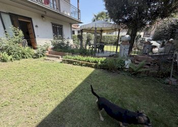 Villa Torino (zona Bertolla) - foto 6