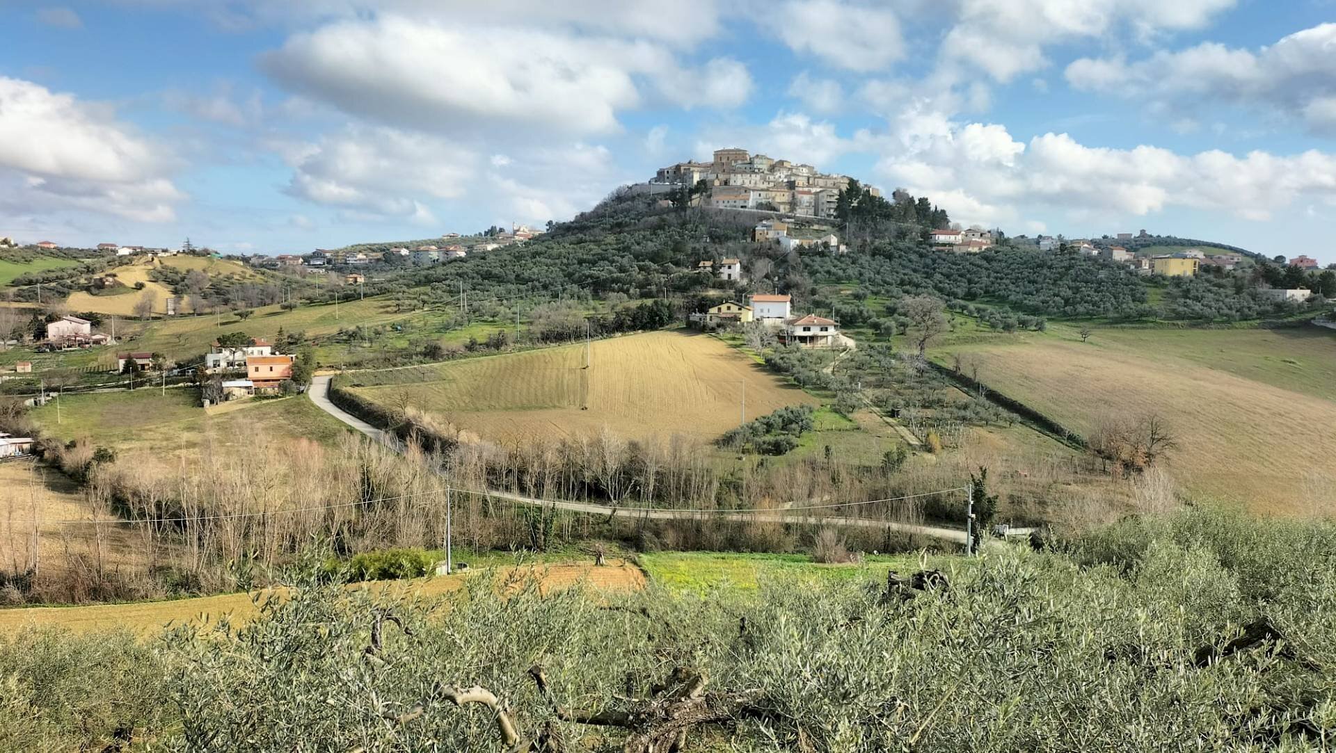 Foto 3 - Agricultural land CONTRADA FORNACI, Collecorvino - photo 3