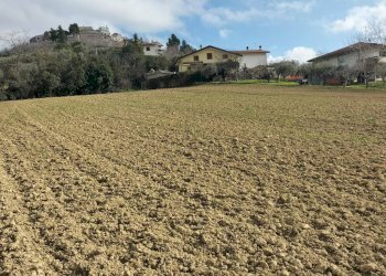 Foto 1 - Agricultural land CONTRADA FORNACI, Collecorvino - photo 1