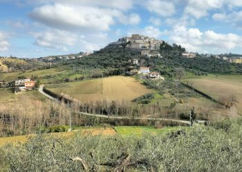 Foto 3 - Agricultural land CONTRADA FORNACI, Collecorvino - photo 3