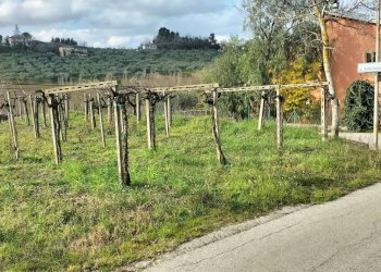 Foto 4 - Agricultural land CONTRADA FORNACI, Collecorvino - photo 4