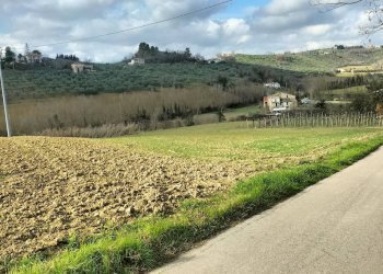 Foto 5 - Agricultural land CONTRADA FORNACI, Collecorvino - photo 5