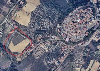 Foto 6 - Agricultural land CONTRADA FORNACI, Collecorvino - photo 6