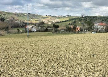 Foto 9 - Agricultural land CONTRADA FORNACI, Collecorvino - photo 9