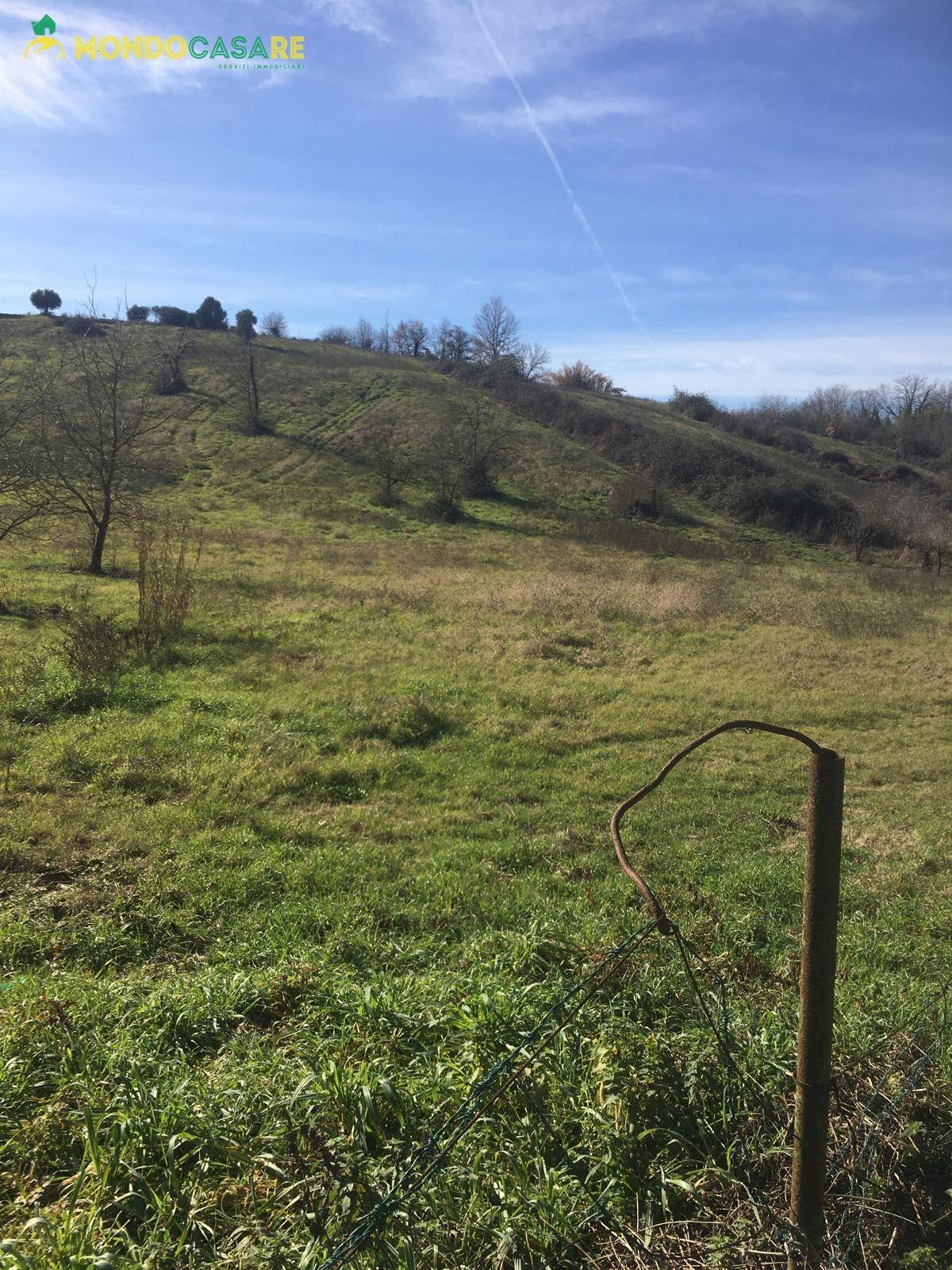 Foto 1 - Terreno agricolo Via Sant'Angelo, Guidonia Montecelio - foto 1